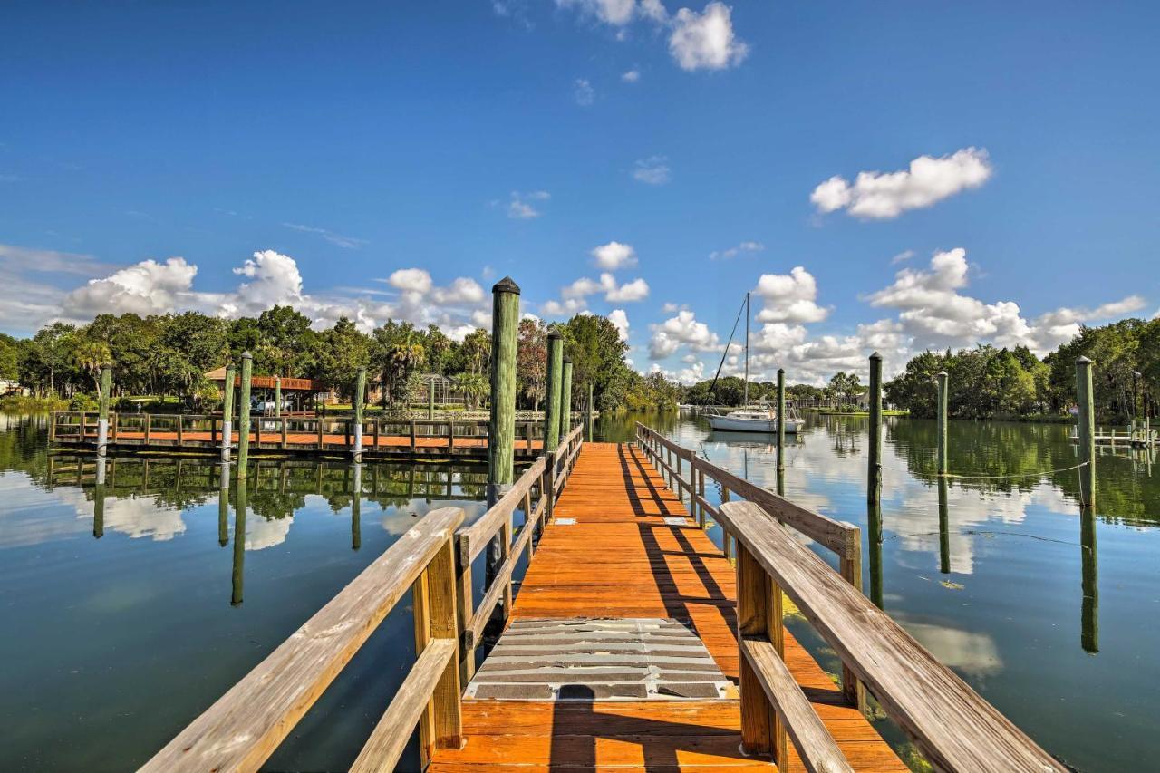 Crystal River House Scalloping And Dock, Gulf 7 Mi! מראה חיצוני תמונה
